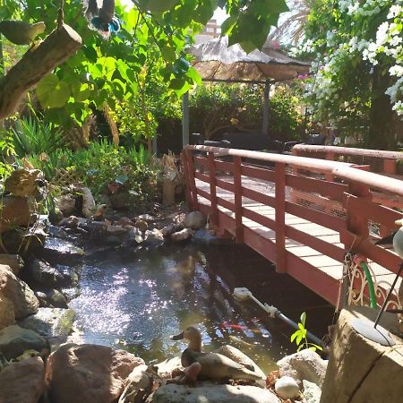Lotus Turtle Garden Eilat Apartment Екстериор снимка