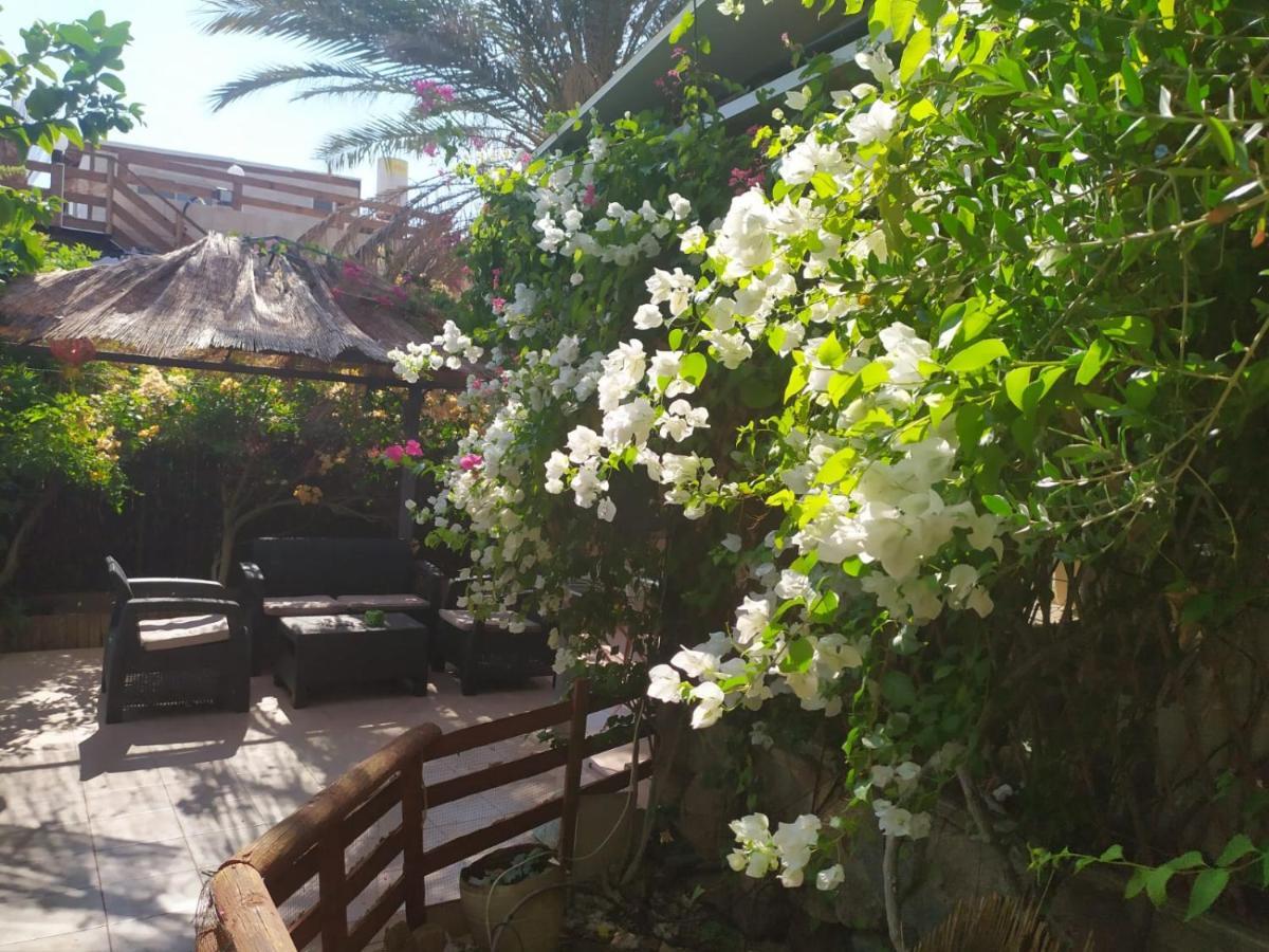 Lotus Turtle Garden Eilat Apartment Екстериор снимка