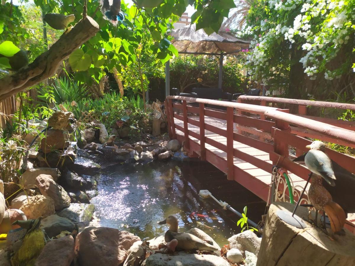 Lotus Turtle Garden Eilat Apartment Екстериор снимка
