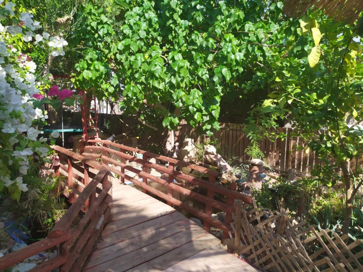 Lotus Turtle Garden Eilat Apartment Екстериор снимка