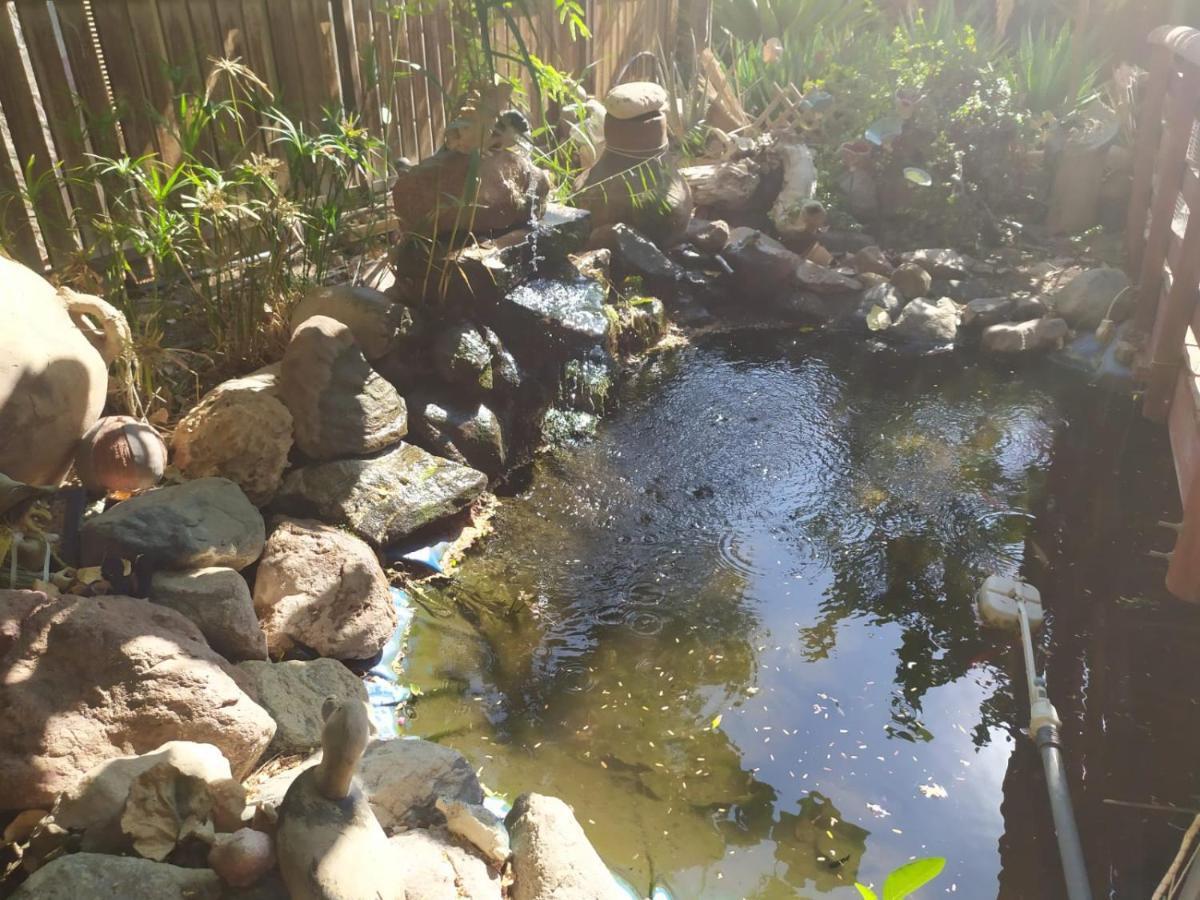 Lotus Turtle Garden Eilat Apartment Екстериор снимка
