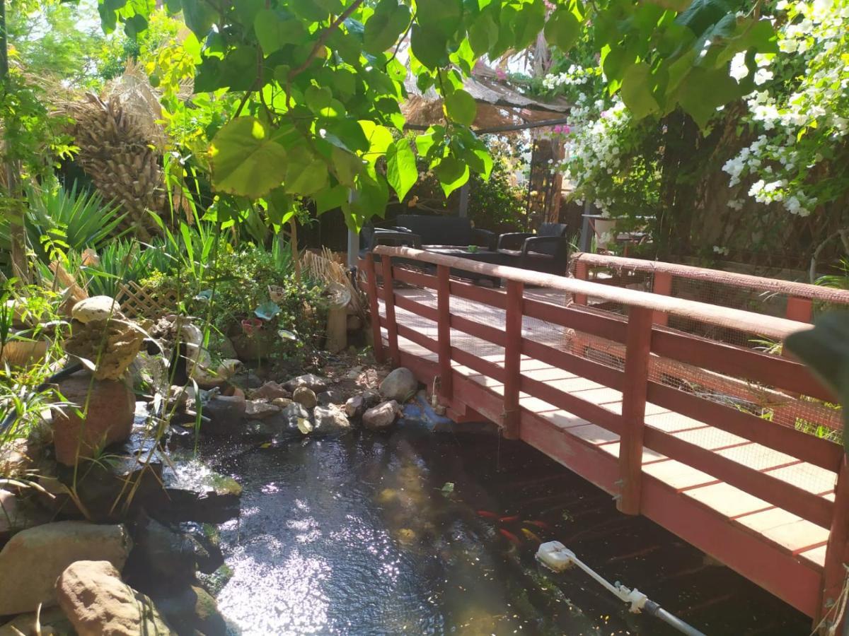 Lotus Turtle Garden Eilat Apartment Екстериор снимка